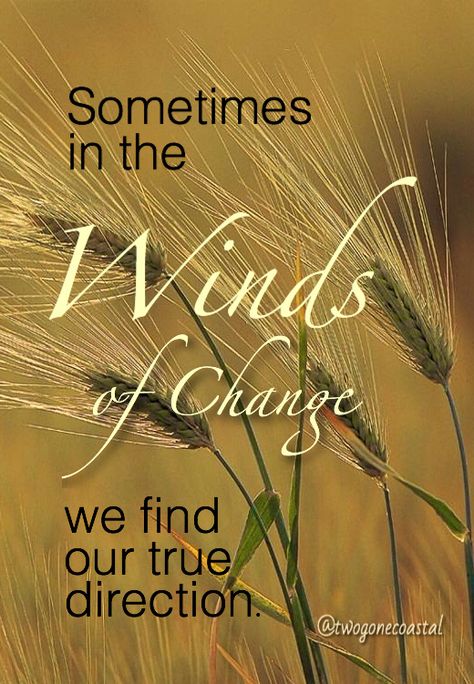 Winds of Change @twogonecoastal Blow Quotes, Wind Quote, You Can’t Change The Direction Of The Wind, Old Irish Blessing, Weather Quotes, Blowin' In The Wind, Wind Of Change, Candle In The Wind, Wonder Quotes