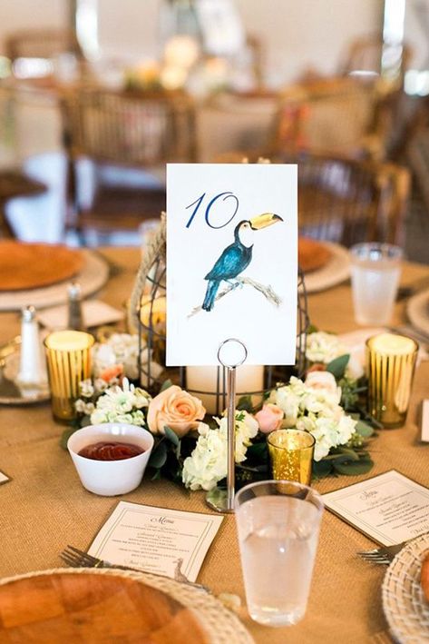 How cute are these animal wedding centrepieces? They're perfect for your animal themed wedding! Click through for more animal wedding decor ideas... Zoo Wedding Ideas, Animal Lover Wedding, Bird Themed Wedding, Coastal Virginia, Fairytale Wedding Theme, Tropical Weddings, Wedding Table Themes, Wedding Birds, Safari Wedding