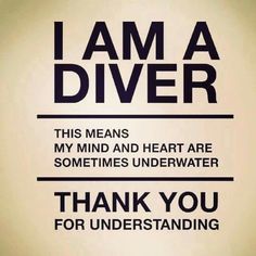 Bubbles Scuba, Diver Quotes, Scuba Diving Quotes, Diving Cuba Diver Quotes, Scuba Diving Quotes, Diving Quotes, Diving School, Navy Diver, Deep Sea Diver, Scuba Diving Equipment, Diving Board, Cave Diving