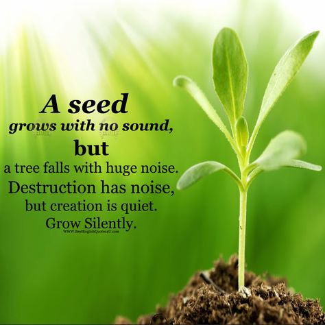 A seed grows with no sound, but a tree falls with huge... | Best English Quotes Tree Planting Quotes, Seed Quotes, Growing Quotes, Good Morning Massage, Tree Quotes, Plants Quotes, Life Choices Quotes, Happy Morning Quotes, Choices Quotes