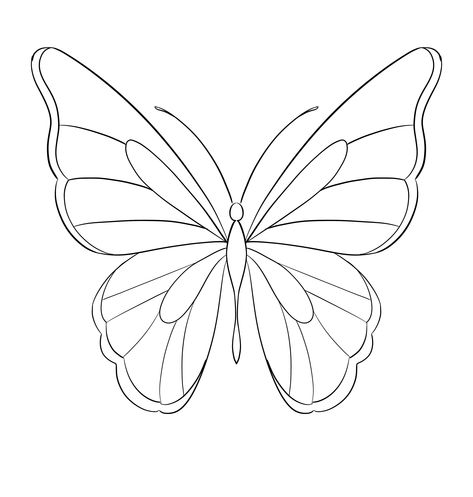 #tattoo #tattoos #inked #tattooart #tattooed #tattooideas #tattoodesign #tattooinspiration #tattoosleeve #tattooflash #inkedgirls #tattooedwomen  #InkLaughs  #TattooFails Butterfly Drawing Outline, Outline Butterfly, Butterflies Drawing, 24 Tattoo, Country Watercolor, Drawing Butterfly, Butterfly Outline, Butterfly Stencil, Minimalist Tattoos