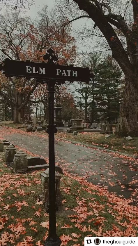 Best Of Salem on Reels | bestofsalem · Original audio Town Of Salem, New England Town, England Town, Rain Fall, Rainy Afternoon, Scary Gif, Spooky Places, Salem Massachusetts, Forest Path