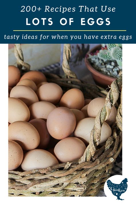 Extra Eggs Recipes, Baking With Lots Of Eggs, Recipe That Uses Lots Of Eggs, Recipes Using A Lot Of Eggs, Recipes With A Lot Of Eggs, How To Use Up Eggs, Egg Heavy Recipes, Recipes That Use A Lot Of Eggs, Recipes To Use Up Eggs