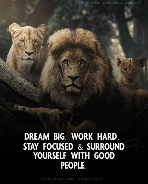 Lion Quote, Quote About Success, Ramzan Images, Dangerous Quotes, Nice Good Morning Images, Caption For Boys, Lion Couple, Uplifting Quotes Positive, Good Leadership Skills