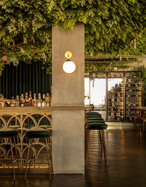 Forest Restaurant, Lisbon Restaurant, Greens Restaurant, Dark Furniture, Architecture Inspiration, Design Hotel, Hotel Interior, Urban Planning, Hotels Design