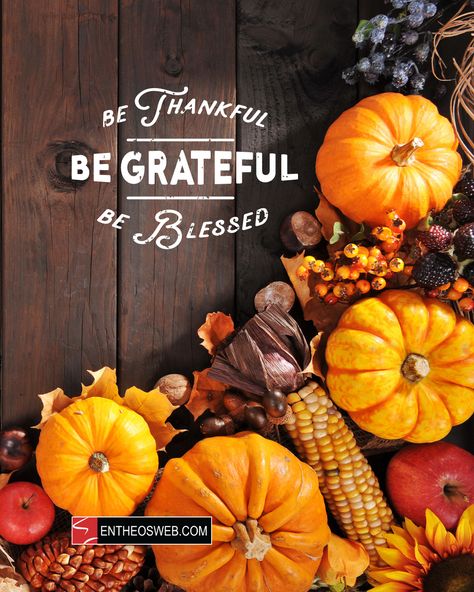 Be Thankful Grateful Blessed | Happy Thanksgiving Images and Wishes Blessed Thanksgiving Images, Free Thanksgiving Wallpaper, Thanksgiving Facebook Covers, Thanksgiving Ecard, Happy Thanksgiving Cards, Blessed Images, Thanksgiving Graphics, Cover Photo Design, Blessed Thanksgiving