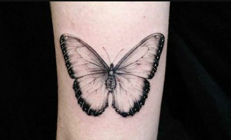 Blue Morpho Butterfly Tattoo Black And White, Blue Morpho Tattoo, Blue Morpho Butterfly Tattoo, Morpho Butterfly Tattoo, Butterfly Tattoo Black, Birthday Tattoo, Blue Morpho Butterfly, Morpho Butterfly, Blue Morpho