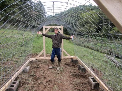 Green House Diy Cheap Homemade, Diy Small Greenhouse Cheap, Easy Greenhouse Diy, Diy Greenhouse Cover For Raised Bed, Diy Greenhouse Cheap, Diy Greenhouse Cheap Easy, Diy Greenhouse Cheap Easy For Winter, Hail Proof Greenhouse, Greenhouse With Plastic Sheeting