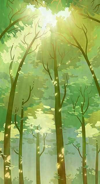 Illustrated Worlds - Imgur Trees Background For Editing, Anime Tree Background, Bottom View Perspective Drawing, Character Background Ideas, Tree Background Drawing, Tree Background For Editing, Forest Illustration Trees, Art Gallery Background, Sunlight Drawing