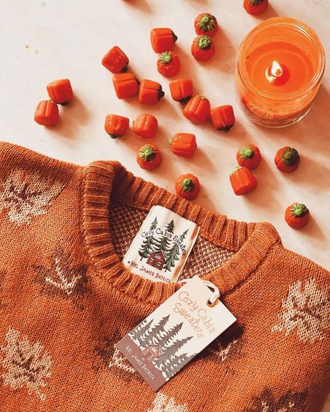 Danielle on Instagram: "When the Autumnal sweater of dreams arrives! Can’t wait for cosy weather to wear this!🧡🍂🧡🍂🧡🍂🧡 #autumn #pumpkin #pumpkinspice #pumpkins #autumnleaves #autumnstyle #autumnhome #cosy #cosyvibes #fallsweater #pumpkinspiceeverything #pumpkinspiceseason #autumnsweater #fallvibes #autumnbreakfast #cozyaesthetic #autumnaesthetic #huntingforautumn #fallstyle #autumncolors #fallfashion #kieljamespatrick #pumpkinseason #autumnseason #stepintoautumn #autumncozy #instaautumn #d Halloween Cozy, Kiel James Patrick, Cozy Wear, Pumpkin Spice Season, Cozy Aesthetic, Fall Feels, August 21, Cozy Cabin, Autumn Cozy