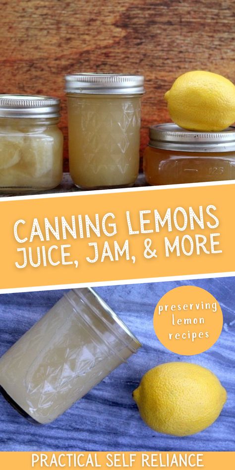 Lemon Canning Recipes, Citrus Canning Recipes, Canning Limes, Lemon Jam Recipe Canning, Canning Orange Juice, Canning Lime Juice, Canned Lemon Juice, Canning Lemon Juice, Canning Fresh Lemon Juice