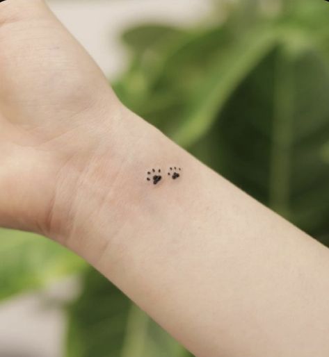 Small Tattoos Cat Paw, Paws Tattoo Cat, Tiny Paw Print Tattoo Cats, Tiny Cat Paw Tattoo, Dainty Cat Tattoo Simple, Dog Finger Tattoo, Mini Tattoos Cat, Tiny Paw Print Tattoo, Dog Minimalist Tattoo