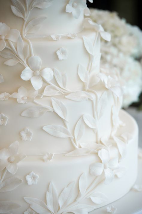 Magnolia Wedding Cake Simple, All White Floral Wedding Cake, Floral White Wedding Cake, Embossed Wedding Cake, Wedding Cake Designs Fondant, Wedding Cake Creative, Vine Wedding Cake, Floral Wedding Cake Ideas, All White Wedding Cake Elegant