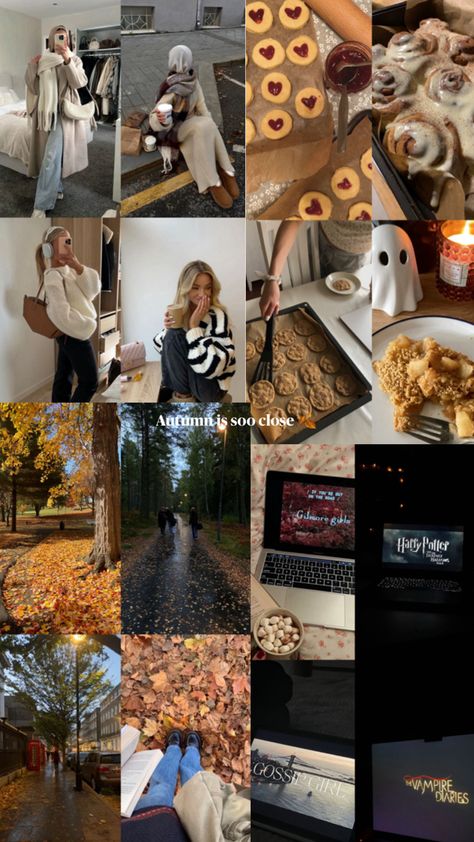 #autumn #fall #aesthetic #cosy Cosy Autumn Aesthetic, Autumn Fall Aesthetic, Cosy Autumn, Autumn Vibes, Fall Aesthetic, Autumn Aesthetic, Clean Girl, Autumn Fall, Autumn Summer