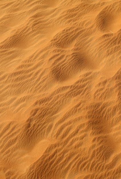 Sand Graphic Design, Desert Texture, Brand Textures, Rich Dubai, Sand Dessert, Sand Aesthetic, Sand Wallpaper, Sand Background, Desert Background