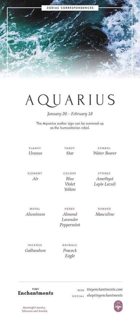 Aquarius Mythology, Aquarius Meaning, About The Zodiac Signs, Aquarius Personality, Aquarius Symbol, Aquarius Moon, Aquarius Aesthetic, Aquarius Zodiac Sign, Aquarius Tattoo