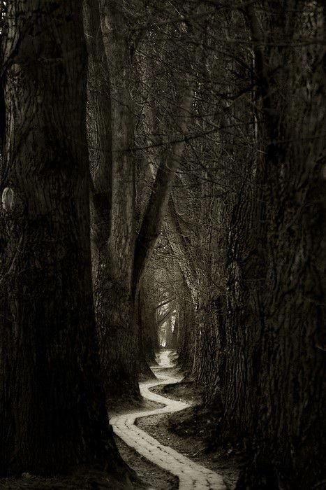 Lonely forest path. Into the woods. Dark night of the soul. Path In The Woods, Era Victoria, Wood Path, Winding Road, Alam Yang Indah, Pics Art, Enchanted Forest, Creepers, In The Woods