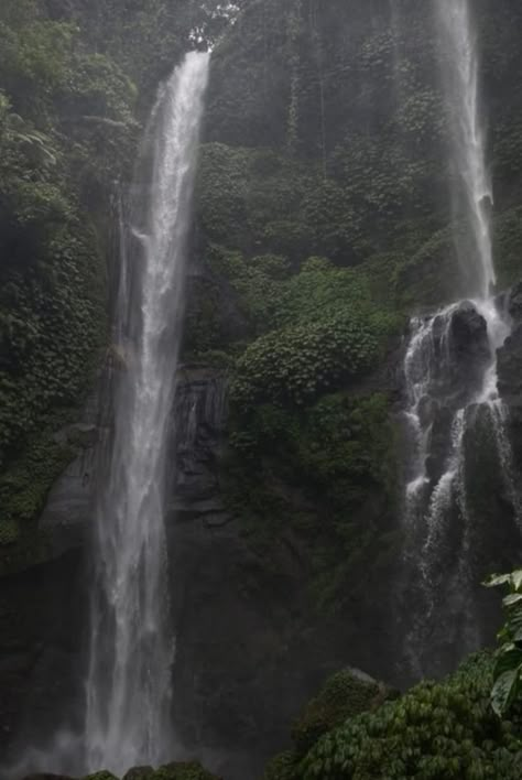 Aesthetic Green Nature, Waterfall Forest, Nature Waterfall, Waterfall Wallpaper, Dark Naturalism, Gloomy Weather, Dark Forest Aesthetic, Forest Waterfall, Forest Aesthetic