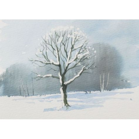 Terry Harrison shows how to paint snowy trees in watercolour Snow On Trees Painting, Snow Tree Drawing, Winter Trees Painting, Winter Tree Drawing, How To Draw Snow, Terry Harrison, Oak Tree Drawings, Paint Snow, Plant Drawings