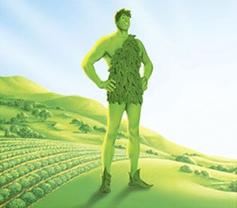 Veggie Humor: Who doesn't love the Green Giant? Retro Commercials, Jolly Green Giant, Vintage Commercials, Color Boards, Green Giant, Thanks For The Memories, County Fair, Vintage Memory, The Old Days