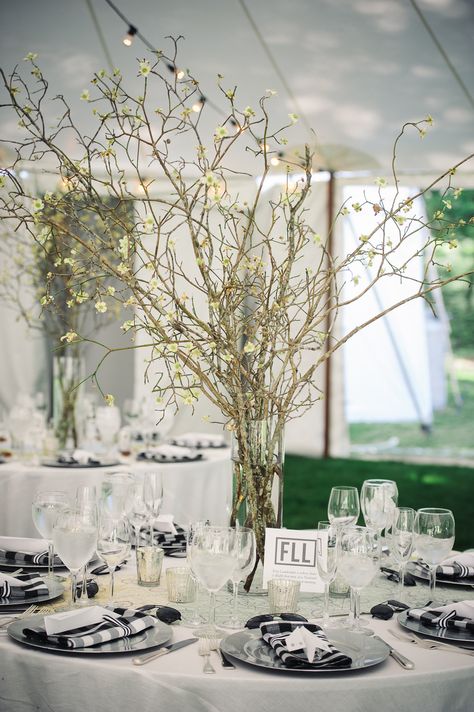 Flowering Quince Branches potentially used in room on fireplace? Centerpieces With Branches, Quince Branches, Branches Centerpiece, Aviation Wedding Theme, Branch Centerpieces Wedding, Aviation Wedding, Blooming Branches, Branch Centerpieces, Flowering Quince