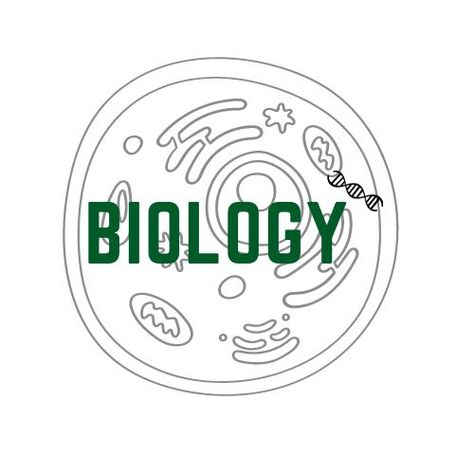 Biology logo for creat an icon Biology Icon, Biology Logo, Story Ideas, Instagram Story Ideas, Biology, Instagram Story, Profile Picture, Medicine, Logo Design