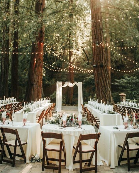 Deer Park Villa, Redwood Wedding, Enchanted Forest Wedding, Villa Wedding, Wedding Set Up, Deer Park, Bay Area Wedding, Gay Wedding, Wedding Things