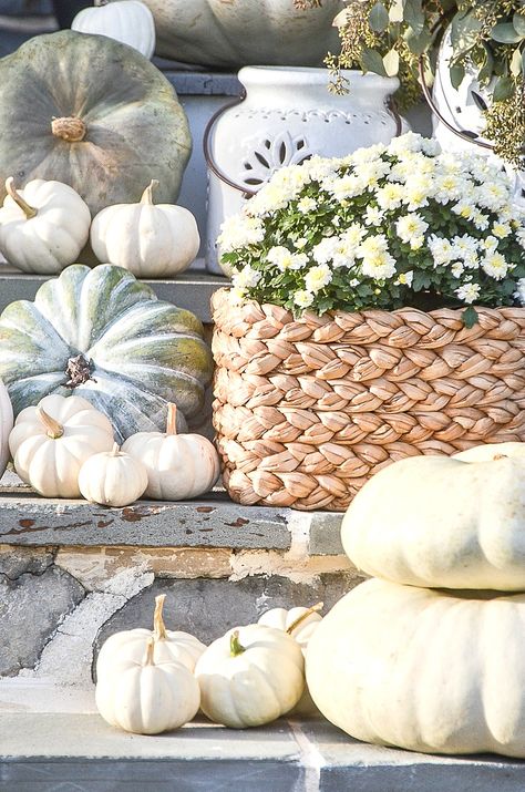 A white-out of pumpkins creates a pretty and attention grabbing fall front porch. Get tips to create pretty outdoor fall decorating #fall #falldecor #pumpkins #autumnideas #falldiy #fallporch #whitepumpkins #mums #stonegable Fall Coffee Table Decor, White Mums, Porch Pumpkins, Fall Coffee Table, Fall Vignettes, Fall Candy, Home Decor Aesthetic, Fall Decor Inspiration, Aesthetic Home Decor