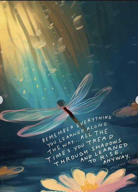 Learn Quotes, Quotes Artwork, 5th Of November, Morgan Harper Nichols, Dragon Fly, Snap Quotes, The 5th Of November, Nature Quotes, Daily Motivational Quotes