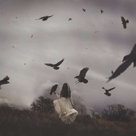 An Unkindness of Ravens | by Talaina Fisher Fantasy Magic, Crows Ravens, Witch Aesthetic, Foto Art, Arte Fantasy, Dark Photography, Vintage Birds, Dark Beauty, Gothic Art