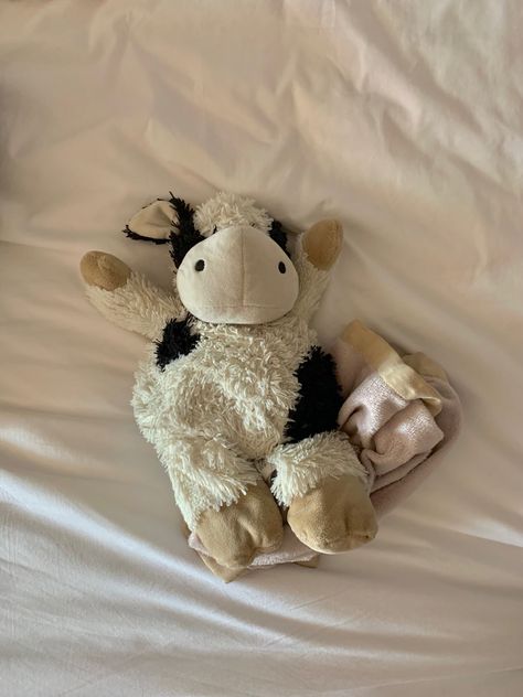 Old Stuffed Animal Aesthetic, Old Stuffed Animals, Cow Teddy Bear, Cow Teddy, Jellycat Aesthetic, Cow Stuffed Animal, Cow Plush, Next Top Model, Cute Stuffed Animals