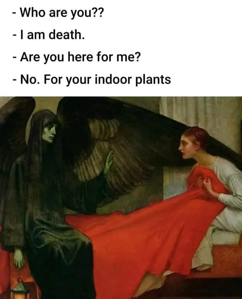 Medieval Reactions, Funny Art History, Classical Art Memes, Art Humor, Good Omens Book, History Humor, Morning Humor, Art Memes, Funny Relationship