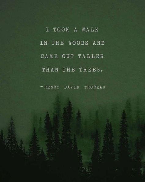 Citation Nature, Forest Therapy, Henry David Thoreau Quotes, Thoreau Quotes, Earth Quotes, Into The Woods Quotes, A Walk In The Woods, Quote Pins, Henry David Thoreau