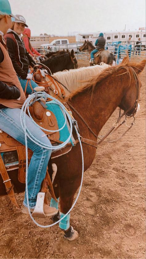 Breakaway Roper Aesthetic, Roping Pictures, Team Roping Aesthetic, Horse Show Aesthetic Western, Horse Wrangler Aesthetic, Horse Western Aesthetic, Breakaway Roping, Horse Back Riding Aesthetic Western, Horse Adventure