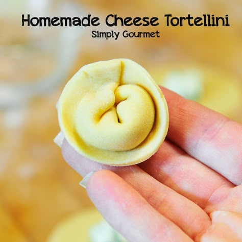 Homemade Tortellini, Homemade Pasta Recipe, Filled Pasta, Tortellini Recipes, Homemade Noodles, Sausage Soup, Cheese Tortellini, Pasta Dough, Homemade Cheese