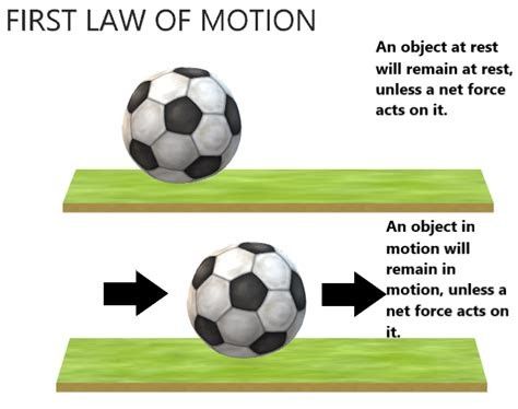 Law Of Inertia Drawing, Newton Laws Of Motion Projects, Law Drawing, Law Of Inertia, Newtons First Law, Motion Drawing, Newton's First Law Of Motion, Newtons Laws Of Motion, Newtons Laws