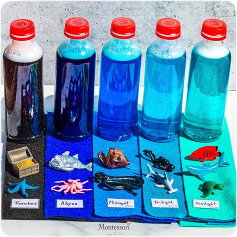 OCEAN-LAYERS-DIY-GLITTER-BOTTLES-Oceanic Pelagic Zones C4l Unit 2, Layers Of The Ocean Project, Ocean Animals Science Activities, Ocean Ecosystem Project, Ocean Zones Preschool, Ocean Zones Project, Ocean Layers In A Jar, Ocean In Bottle, Ocean Animal Research Project