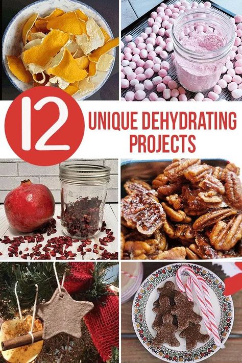 12 Unique Dehydrating Projects you can try this year with your new dehydrator! #12daysofdehydrating #dehydratedmarshmallows #jerky #dehydrateallthethings Cooking In Bulk, Dehydrator Recipes Fruit, Food Dehydrator Recipes, Dehydrating Fruit, Dehydrator Ideas, Dehydrated Food Recipes, Dehydrated Recipes, Fruit Powders, Yogurt Drops