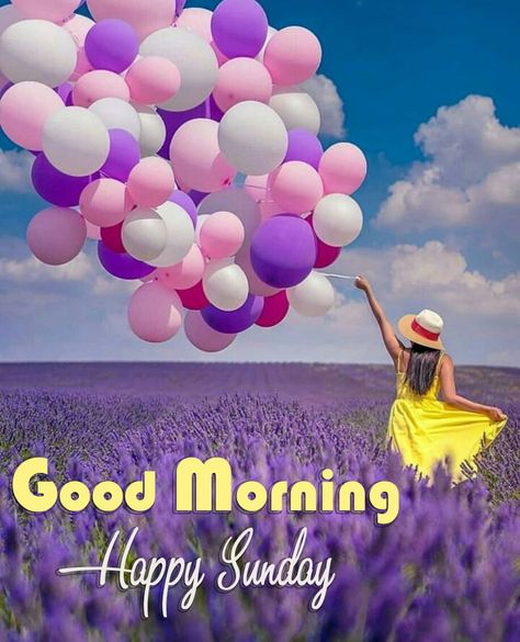 Happy Sunday Hd Images, Morning Sunday Images, Blessed Sunday Morning, Good Morning Friday Images, Good Evening Love, Happy Sunday Images, Good Morning Sunday, Good Morning Sunday Images, Happy Sunday Morning