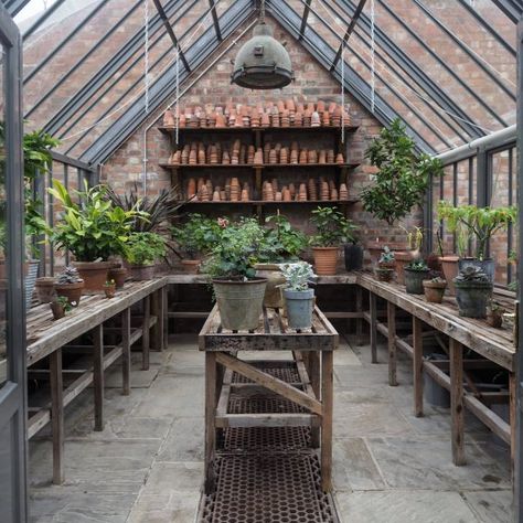 Image result for soho farmhouse Greenhouse Decor, Shed Inspiration, Greenhouse Interior, Dream Greenhouse, Soho Farmhouse, Outdoor Greenhouse, Conservatory Garden, Greenhouse Shed, Indoor Greenhouse