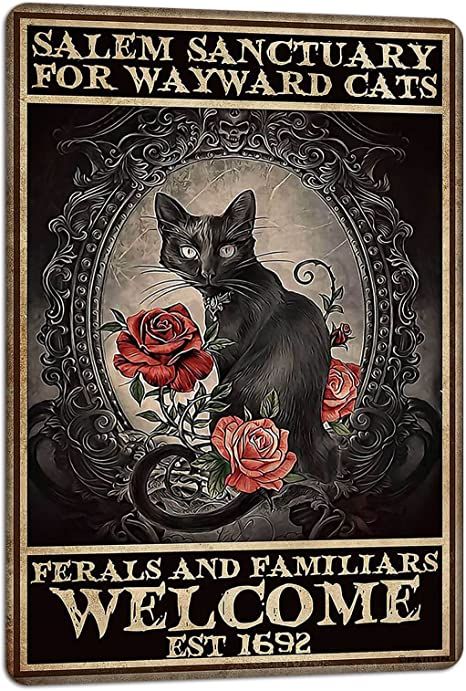 Amazon.com : PAIION Salem Sanctuary For Wayward Cats Halloween Black Cat Halloween Decor Cat Lover Metal Signs Vintage Poster Home Bedroom Wall Art Gift 8x12 Inches : Home & Kitchen Dungeons And Dragons Accessories, Witch Cat, Retro Sign, A Black Cat, Cat Signs, Welcome Decor, Cat Posters, Gothic Decor, Vintage Poster Art