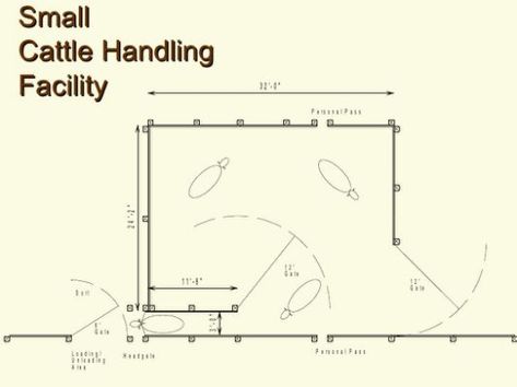 Tips for Creating Beef Cattle Handling Livestock Barn Plans, Cattle Gate, Cattle Pens, Cattle Facility, Cattle Corrals, Livestock Barn, Pen Designs, Cattle Barn, Beef Cow