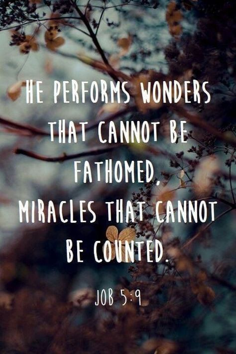 Bible Verses About Faith: he performs wonders that cannot be fathomed Vertrouw Op God, How To Believe, Ayat Alkitab, Favorite Bible Verses, Scripture Quotes, Verse Quotes, Bible Inspiration, Scripture Verses, Bible Verses Quotes