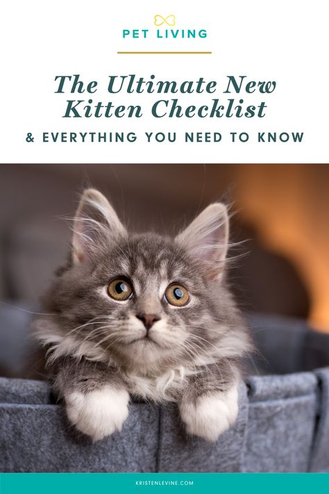 Before bringing home a new kitten, there are pet supplies you'll need to purchase and some things you'll need to know. Check out this ultimate guide to bringing home a new kitten. New Kittens Tips, Kitten Checklist, Kitten Tips, Adopting A Kitten, Best Cat Litter, New Kitten, Cat Hacks, Kitten Toys, Pet Advice