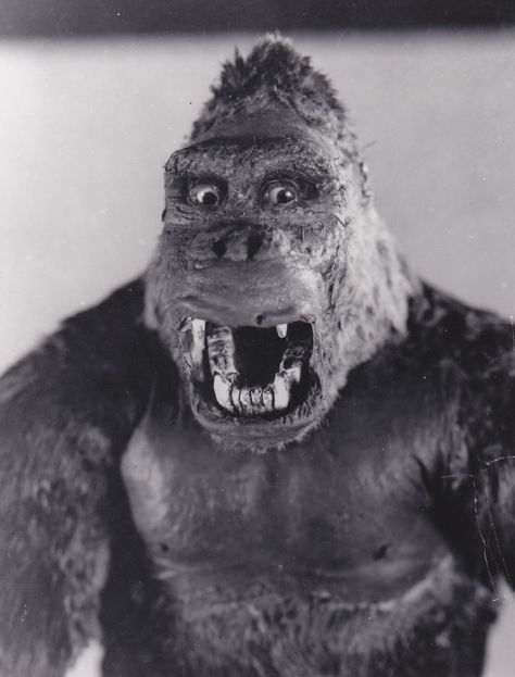 King Kong 1933, Classic Monster Movies, The Creeper, Famous Monsters, Retro Horror, Giant Monsters, Sci Fi Horror, Classic Horror Movies, Classic Monsters