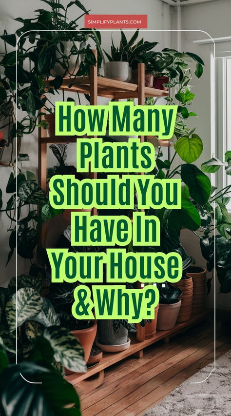 "House plants, indoor gardening, plant care, plant placement, plant 
varieties, plant aesthetics, plant health, plant benefits, plant decor, 
plant arrangement." In House Plants Living Rooms, Green Plant Room Decor, How To Group Plants Together, Plants In The Window Ideas, How To Clean Plants To Bring Inside, Indoor Plant Rack Ideas, Healing Plants Indoor, Winterizing Plants Indoor, How To Fit More Plants In A Room