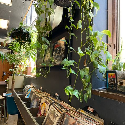 Retro Plant Aesthetic, Book And Plant Store, Record Store Aesthetic, Retro Grunge Aesthetic, Listening Bar, Records Aesthetic, Culture Cafe, Cd Store, Books And Plants