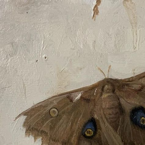 Justin Wood on Instagram: "Polyphemus Moth #trompoeil #stilllife #stilllifepainting #realism #contemporaryart #contemporarypainting #artistsofinstagram #artistsoninstagram" Moths Painting, Polyphemus Moth, Moth Painting, Clothes Painting, Still Life Painting, Lily Of The Valley, Contemporary Paintings, The Valley, Painting Acrylic