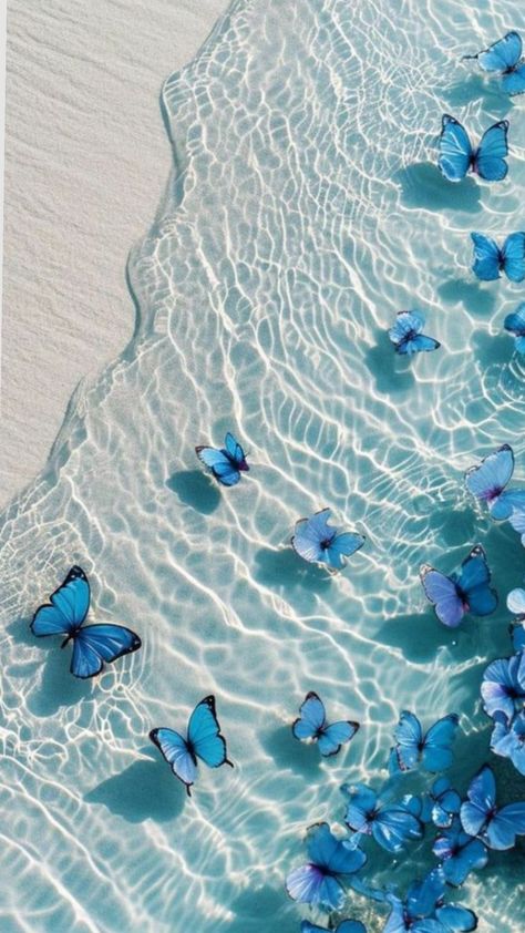 Aesthetic Blue Wallpaper Blue Ocean Wallpaper Aesthetic, Turquoise Blue Aesthetic, Blue Ocean Wallpaper, Blue Aesthetic Wallpaper Iphone, Ocean Wallpaper Aesthetic, Ocean Wallpapers, Tropical Preppy, Butterflies Wallpaper, Blue Aesthetic Wallpaper