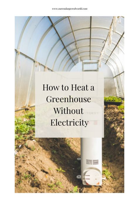 The science behind greenhouse heating systems is to trap air and light. They are made to preserve off-season fruits and vegetables by managing temperature. While greenhouses absorb heat, they need help keeping warm during the Solar Heated Greenhouse, Greenhouse Solar Lights, Solar Greenhouse Ideas, Greenhouse Heater Ideas, Green House Heating Ideas, How To Heat Greenhouse In Winter, Heating A Greenhouse Without Electricity, Greenhouse Heating Ideas, 4 Season Greenhouse